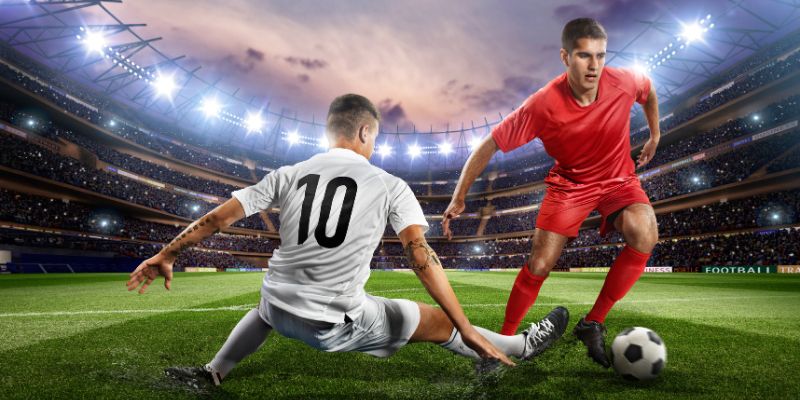 Cá cược Euro